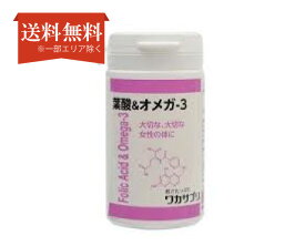 楽天市場 分子 生理 化学 研究 所 サプリの通販