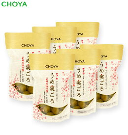 チョーヤ 梅酒のうめ 『うめ実ごろ 550g×6袋』 大粒の紀州産南高梅100%使用 無添加 【通販限定】 お得！