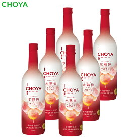 【数量限定】【送料無料】アイスヌーボー氷熟梅ワイン2025×6本入り