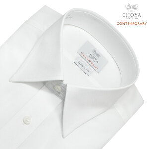 CHOYA CONTEMPORARY  CVc 100  Y `ԈH zCg n M[J[