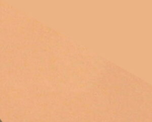 yzGXecCKieJT][Ɗق؂g遙ESTHE TWIN TVt@f[V@@tB(P[XȂ)21