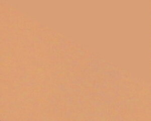 yzGXecCKieJT][Ɗق؂g遙ESTHE TWIN TVt@f[V@@tB(P[XȂ)31