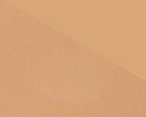 yzGXecCKieJT][Ɗق؂g遙ESTHE TWIN TVt@f[V@@tB(P[XȂ)41