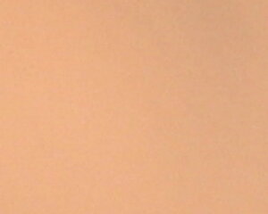 yzGXecCKiXLPAʂ̍ESTHE TWINpE_[t@f[V@`[@tB(P[XȂ)11