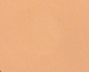 yzGXecCKiXLPAʂ̍ESTHE TWINpE_[t@f[V@`[@tB(P[XȂ)21