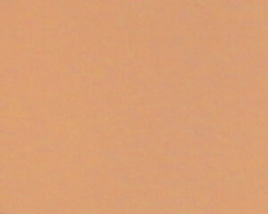 yzGXecCKiXLPAʂ̍ESTHE TWINpE_[t@f[V@`[@tB(P[XȂ)31