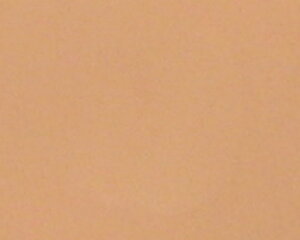 yzGXecCKiXLPAʂ̍ESTHE TWINpE_[t@f[V@`[@tB(P[XȂ)41