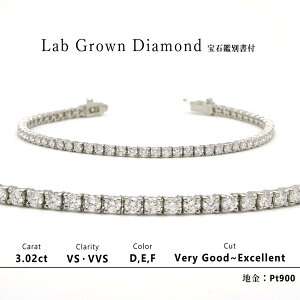 PT900_ejXuX _C_3.02ct _VS-VVS_2.6mm_17cm / {OE_Ch Ίӕʏt_ejX`F[_v`i900