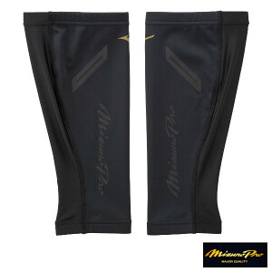 ~Ymv bOEH[}[ 2 12JYAU5209 ubN h h N jZbNX MIZUNO PRO