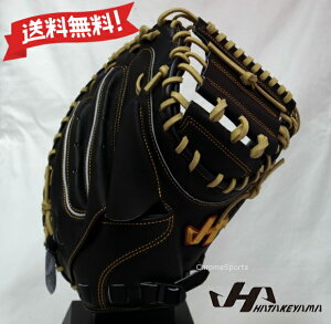 n^P} \tg{[p Lb`[~bg ߎp TH-M3BUP ubN Ep O[u HATAKEYAMA