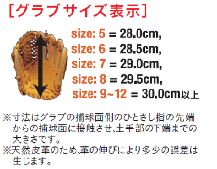 楽天市場】 ウィルソン 硬式用 グラブ 内野手用 サイズ6