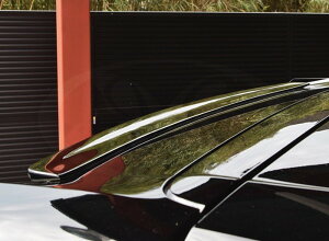 Ft@CA@30@@ZO[h@AEBO@hρ@GLANZ @Butterfly System/o^tCVXe