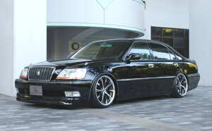 NE}WFX^ 17n An[tX|C[ Butterfly System/o^tCVXe Oc