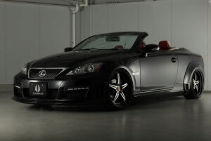 IS 250C/350C X|[c GSE21/GSE20 GA3_Zbg GCQC