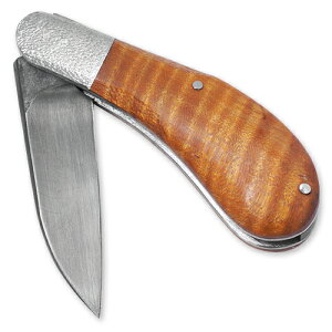 yC365@Rpr@iCtz܍iCt/[vEbhyz