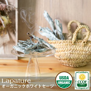 yEiMzzCgZ[W NX^[ 20g I[KjbN _ USDAECCOFFؔ_Y 򉻗p Lapature(p`A) v[g