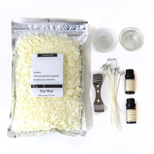 Lapature(���p�`���A) ����A���}�L�����h���L�b�g DIY �E�B�b�N�Ɛ�����I��ŃI���W�i���A���}�L�����h������낤 �v���[���g ��̓�