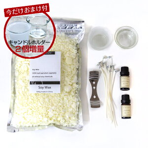 �y���������܂��t�zLapature(���p�`���A) ����A���}�L�����h���L�b�g DIY �E�B�b�N�Ɛ�����I��ŃI���W�i���A���}�L�����h������낤 �v���[���g ��̓�