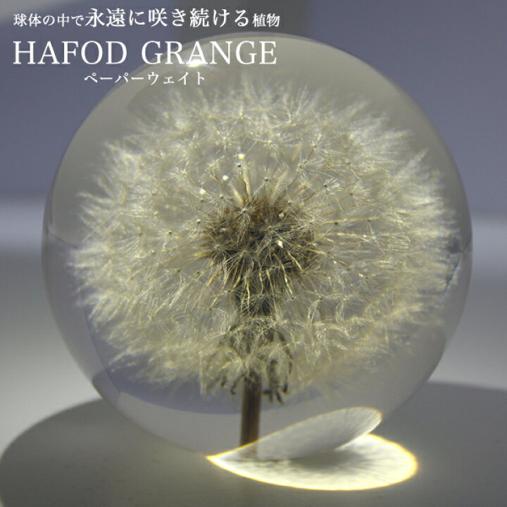 楽天市場】Hafod Grange ハフォドグレンジ PAPER WEIGHT ペーパー 