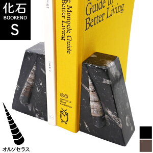 STCY I\ZXy΃ubNGhz嗝 ubNX^h  FOSSIL tHbV I\ZX kAtJ Tn VR嗝 {  {I { ؐ  Lk ubNG