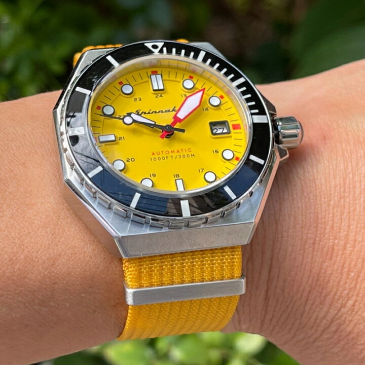 楽天市場】【交換工具・ばね棒つき】 腕時計 ベルト バンド ウォッチ  