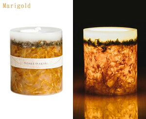 yԌIIWig[tz{^jJ Lhy薳LhzYOAKE no AKARI APmAJ _ nhCh  X Ìy CeA G Mtg v[g z