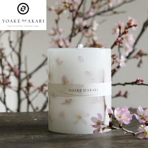 yGߌ / ʌz ~U {^jJ Lhy薳Lhz YOAKE no AKARI ۏf[ International Women's Day Ԍ mimosa SAKURAnhCh APmAJ  