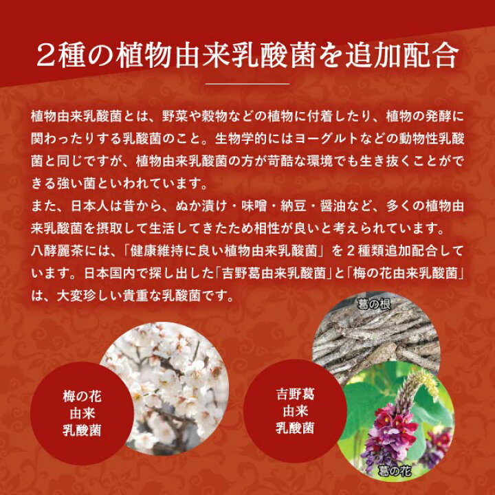 はつらつ堂 八酵麗茶 96包 2個セット 送料無料（3/17(月)限定 