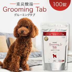 グルーミングタブ 重炭酸 100錠 イオンケア浴剤 犬 猫 ペット 無香料 無着色
