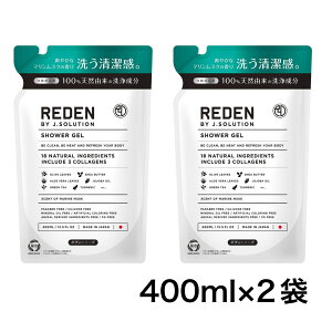 2܃Zbg f {fB[\[v lߑւ 400ml REDEN Y f  ̏L L }XN jp tB