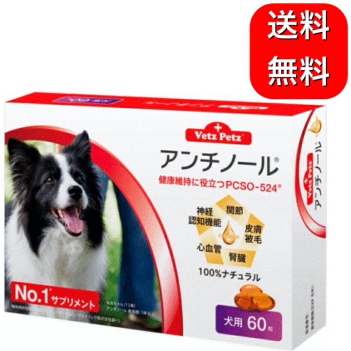 楽天市場 アンチノール 犬用 60粒 サプリメント Chronus