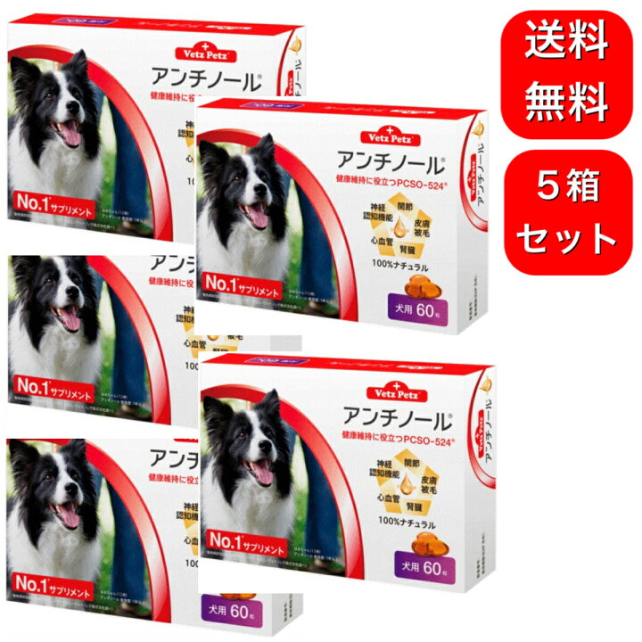 楽天市場 5箱セット アンチノール 犬用 60粒 サプリメント Chronus