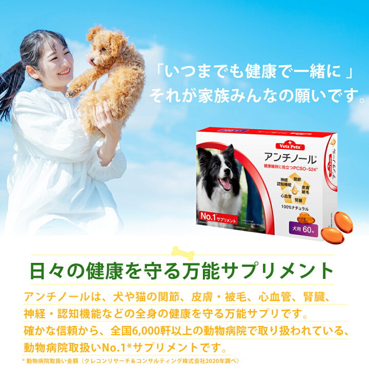 楽天市場 アンチノール 犬用 60粒 サプリメント Chronus