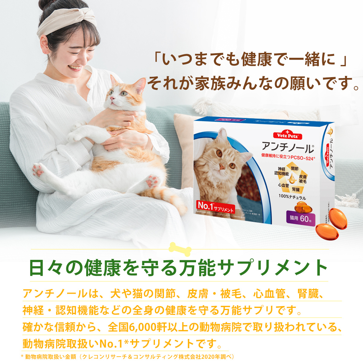 楽天市場】【2箱セット】アンチノール 猫用 60粒 サプリメント : Chronus