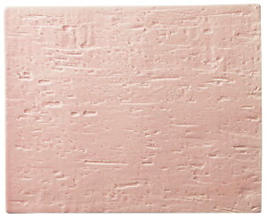 y|Cg20{zubtFEH[}[ 1/2TCYp pM  EBM vol.25[1176-4]rbtF֘A