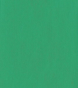 y|Cg20{zIrA e[uNX [ 1000mm×100m O[y[J[zy{z EBM vol.25[2038-21]CeAi