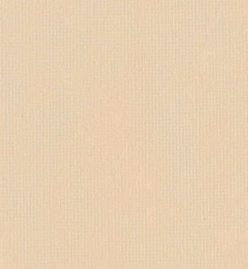 y|Cg20{zIrA e[uNX [ 1500mm×100m AC{[y[J[zy{z EBM vol.25[2038-22]CeAi