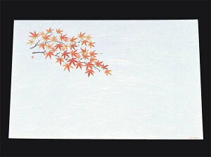 y|Cg20{zڎO ΂܂ RۉԘa(100)WS-13 ݂(9`11)yRہzy{z EBM vol.25[1834-12]popi