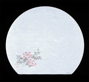 y|Cg20{zڎO΂܂ RۉԘa(100)WH-12S(6`7)yRہzy{z EBM vol.25[1833-12]popi