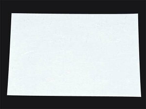 y|Cg20{zڎO ΂܂ RۉԘa(100)WSA-02 n(I[V[Y)yRہzy{z EBM vol.25[1834-16]popi