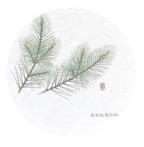 y|Cg17{zaR[X^[ lG ی^(50)WCO-M1 yRہzy{z EBM vol.25[1580-11]CEo[pi