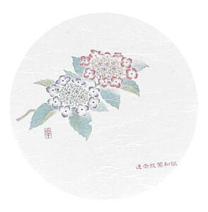 y|Cg5{zaR[X^[ lG ی^(50)WCO-M5 yRہzy{z EBM vol.25[1580-15]CEo[pi