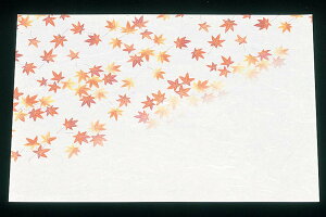 y|Cg20{zԉ ڎO ΂܂(100)HM-2 ݂yRہzy{z EBM vol.25[1836-2]popi