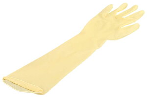 y|Cg20{zVK[ ebNX O[u O48(10)L EBM vol.25[2249-5]jtH[