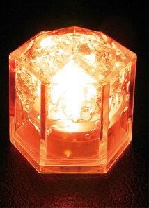 y|Cg15{zX CgL[uENX^(24)IW EBM vol.25[1575-35]CEo[pi