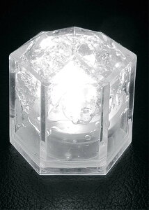 y|Cg16{zX CgL[uENX^(24)zCg EBM vol.25[1575-37]CEo[pi