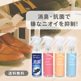 靴・靴下の消臭スプレー 150mL 1本 CPコートDS CHU-PAオリジナル 靴 消臭 スプレー 消臭 抗菌 汗臭 アンモニア臭 酢酸臭 イソ吉草酸臭 靴の内側 靴の中敷 身だしなみ エチケット