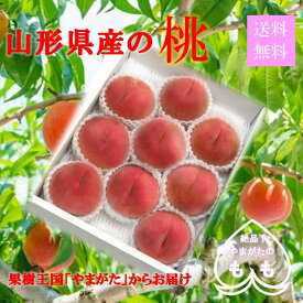 やまがたの桃！ 山形県産 訳あり ご家庭用 白桃 約 1.8kg 玉数6～9玉 【予約・8月中旬～発送】 桃 あかつき 川中島白桃 黄金桃 美晴白桃 ゆうぞら まどか もも モモ ギフト プレゼント 果物 もも くだもの フルーツ 産地直送 送料無料