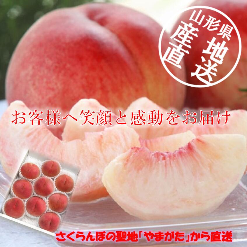 川中島白鳳 もも 桃 フルーツ 果物 長野県産 通販