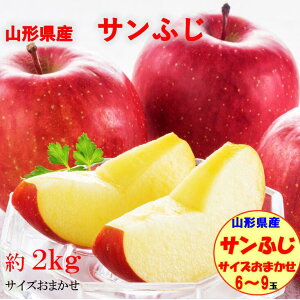 y󂠂z R`̂ iDij 11{甭 Mtg p  Tӂ 2kg 6`12 󂠂     Y Y R` R` R` 